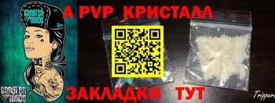 спайс Нальчик